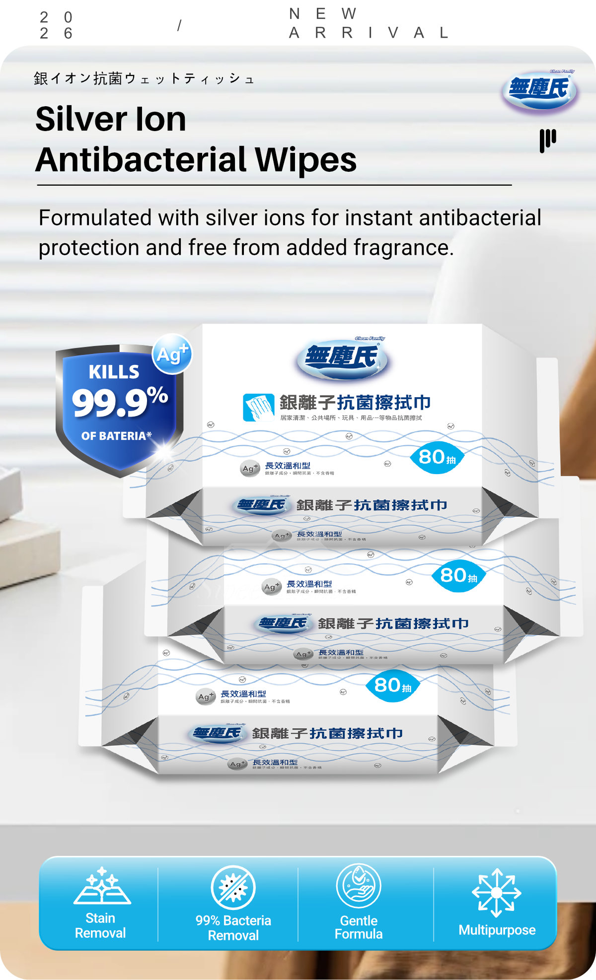 Clean Family-Silver Ion Antibacterial Wipes-1